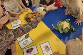 Mazie pētnieki iepazīst augļu un dārzeņu pasauli! 